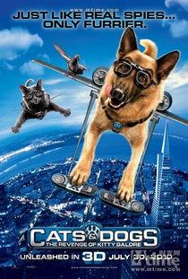 猫狗影院在线观看,在线观影新体验，畅享海量影视资源